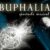 Buphalia : spectacle musical de la BF de St Vincent des Landes